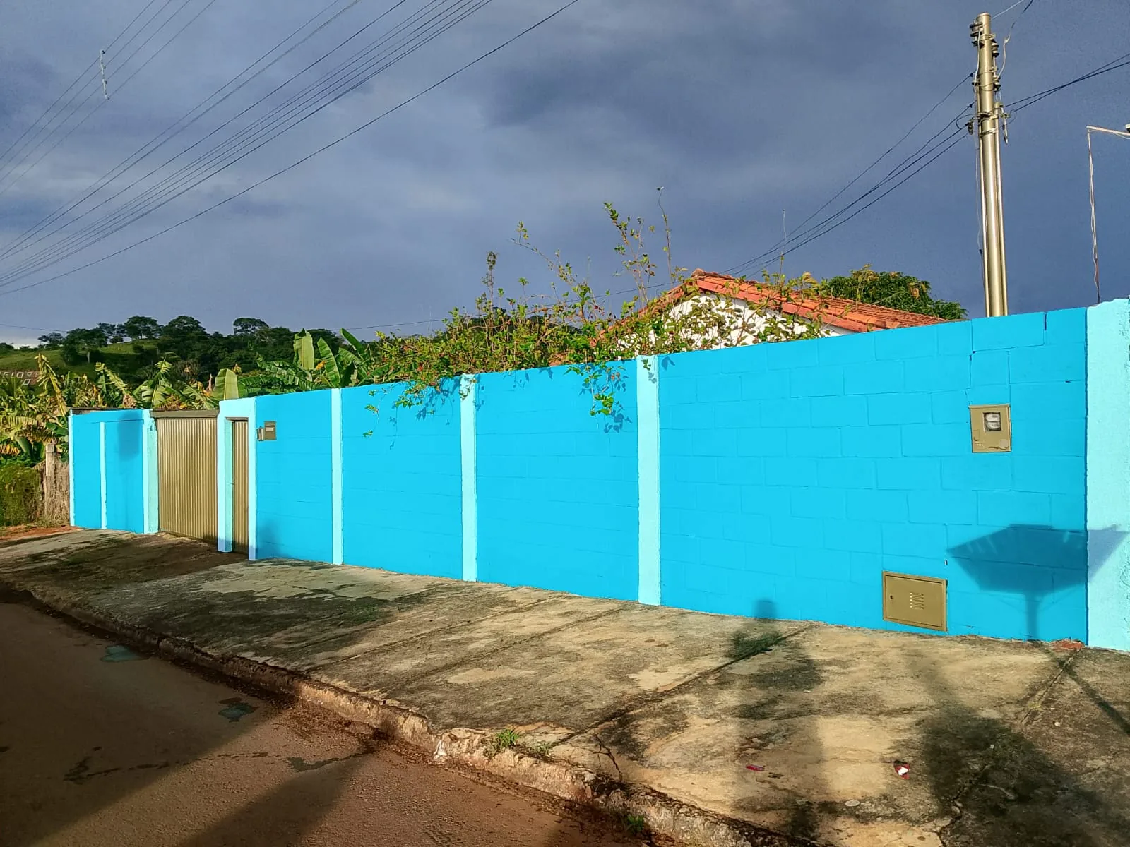 Muro pintado em azul vibrante